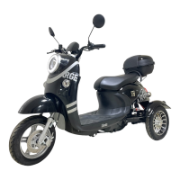 Электротрицикл GT-EV5 (Черный)