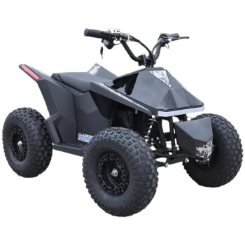 Электроквадроцикл Skyboard CyberTruck Sochi Power 1000W