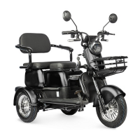 Электротрицикл Rutrike Gelbert Sun 48V/60V 650Вт
