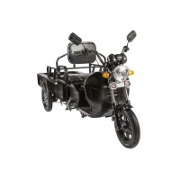 Грузовой электротрицикл Rutrike D1 1200 60V900W черный